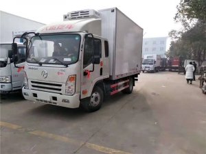 大運(yùn)藍(lán)牌冷藏車(chē)國(guó)六